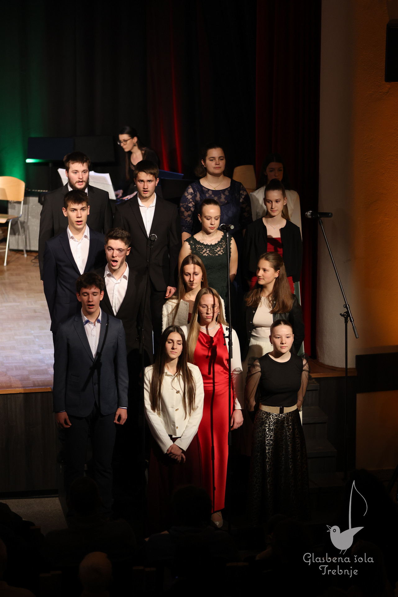 Koncert orkestrov in komornih skupin