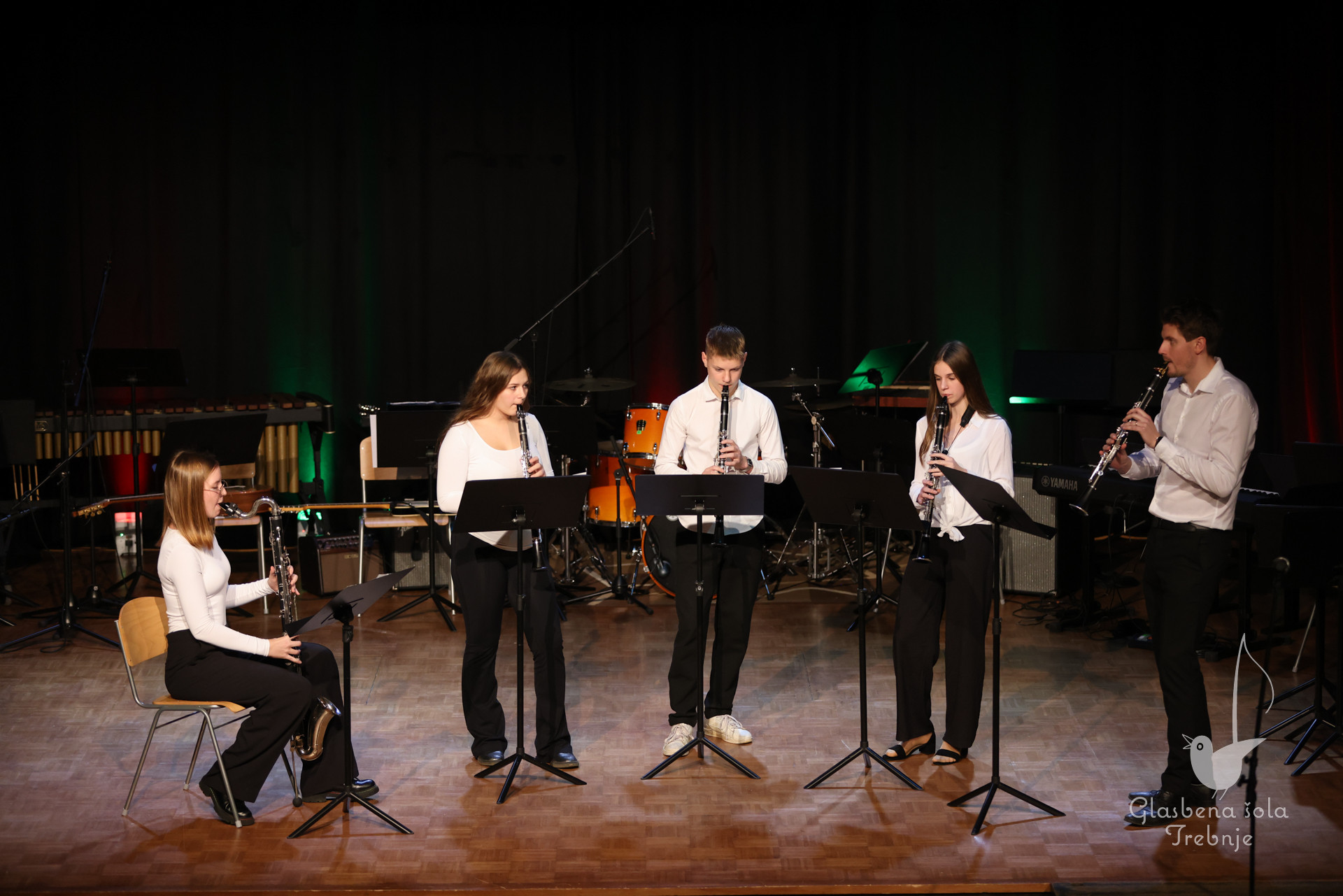 Koncert orkestrov in komornih skupin