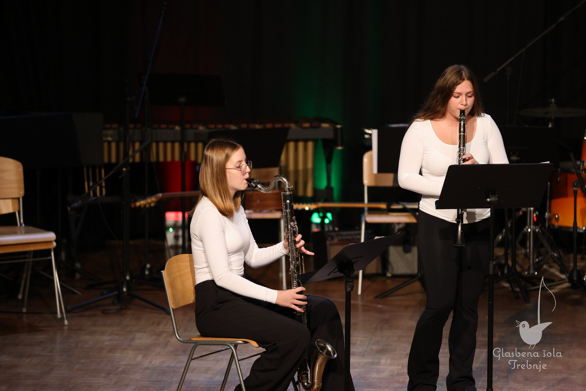 Koncert orkestrov in komornih skupin