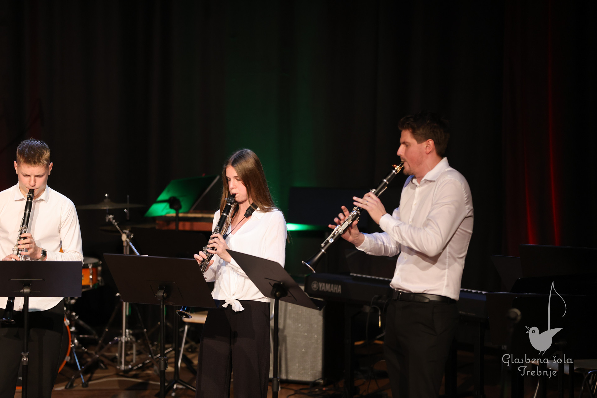 Koncert orkestrov in komornih skupin