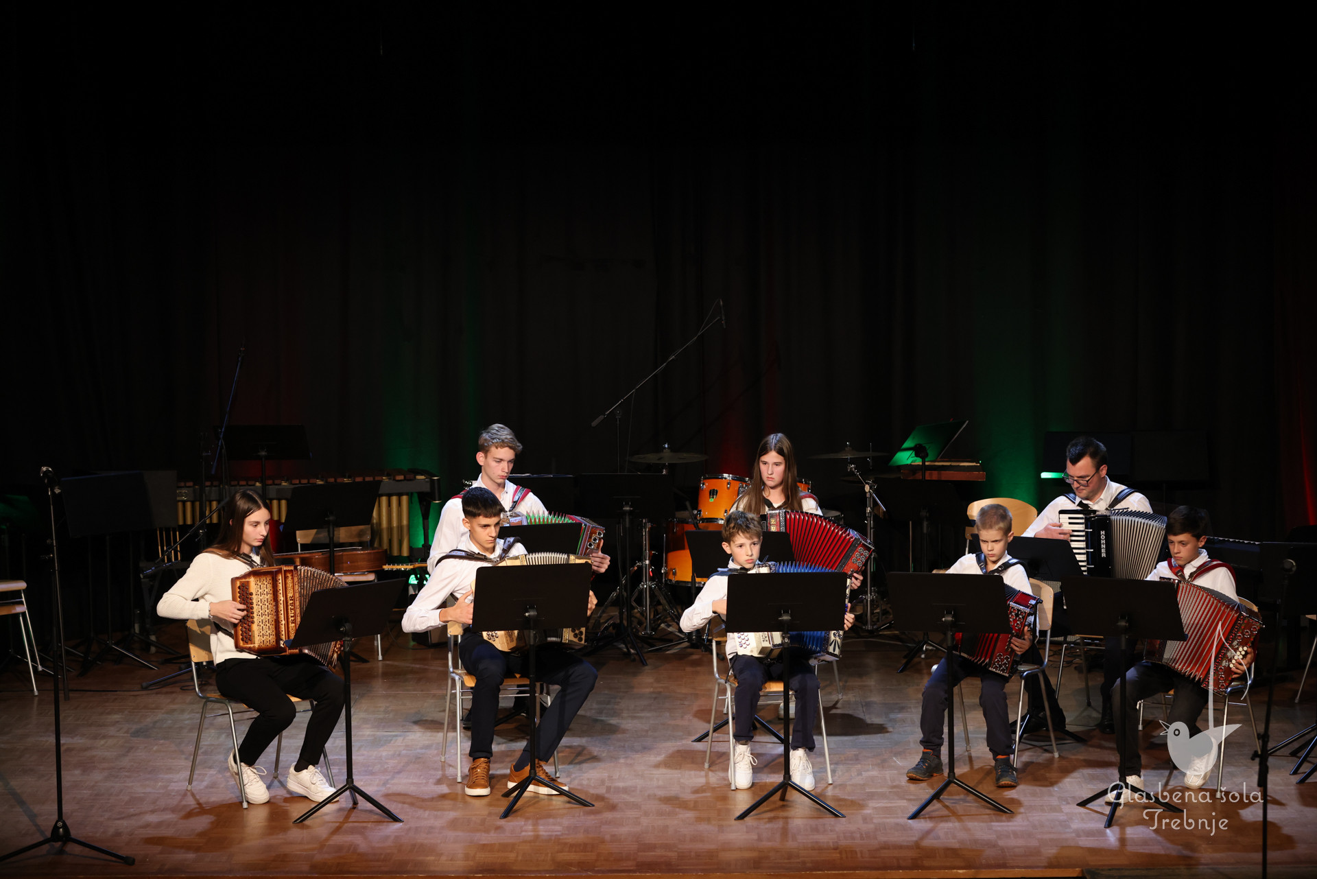 Koncert orkestrov in komornih skupin