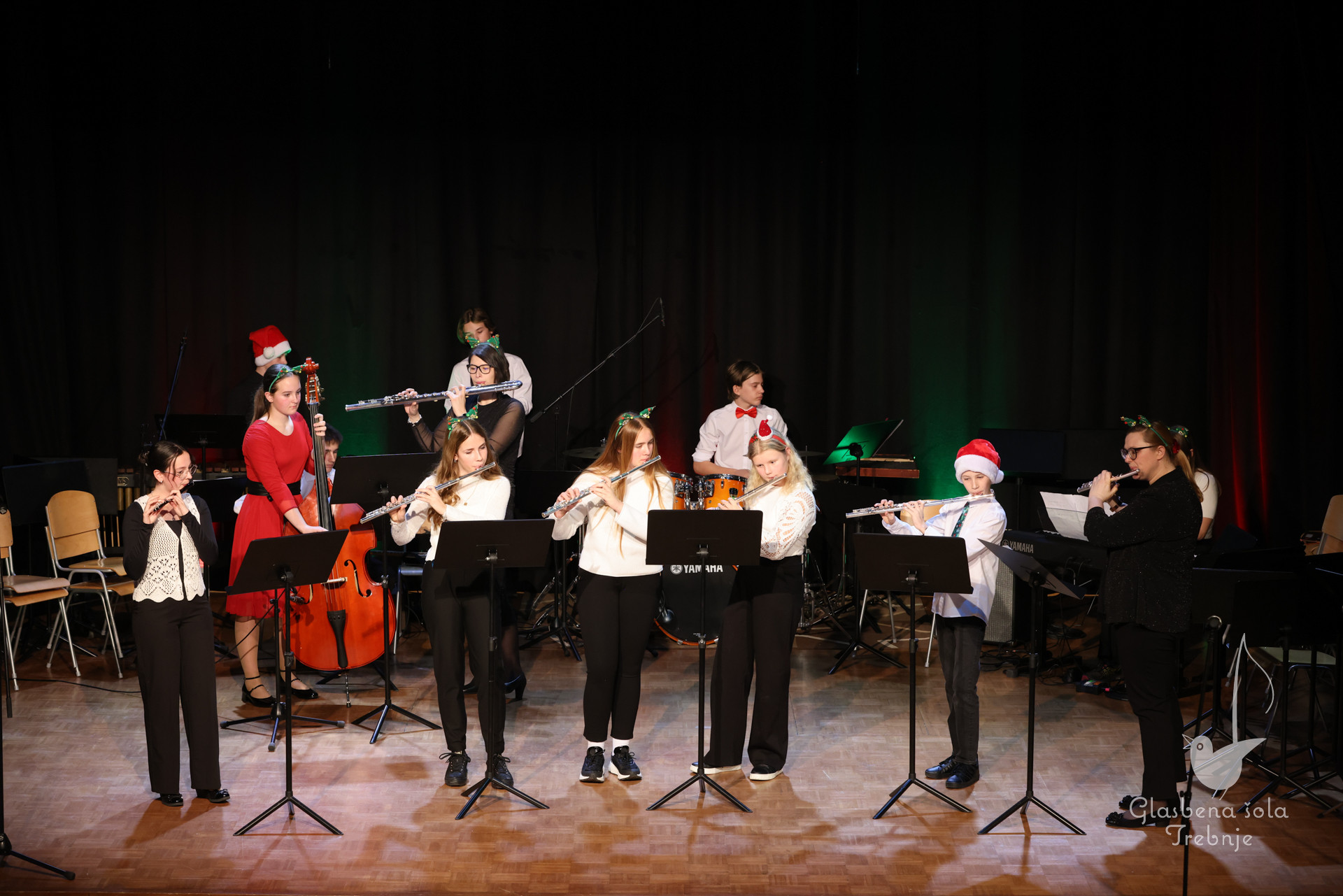 Koncert orkestrov in komornih skupin