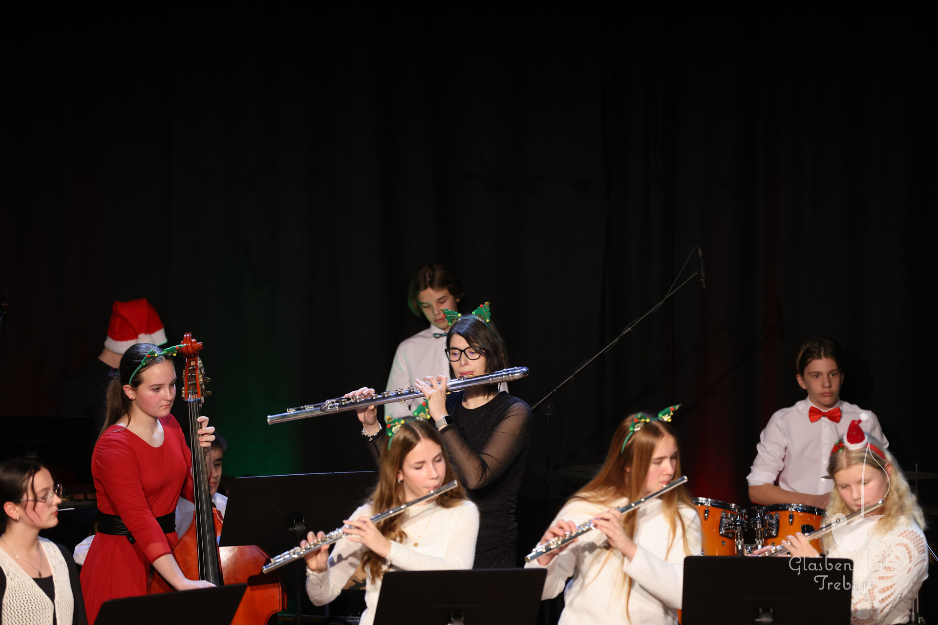 Koncert orkestrov in komornih skupin