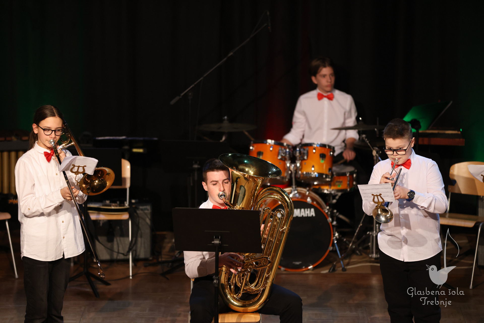 Koncert orkestrov in komornih skupin