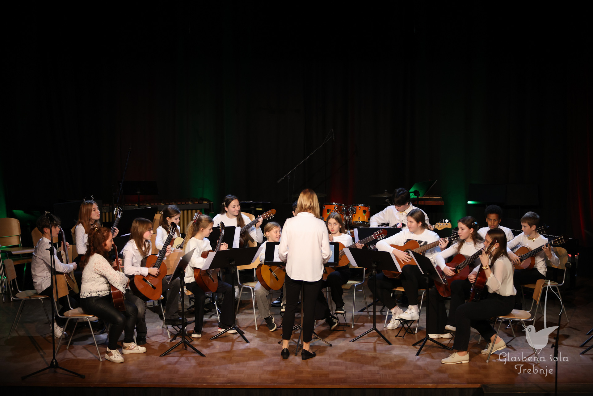 Koncert orkestrov in komornih skupin