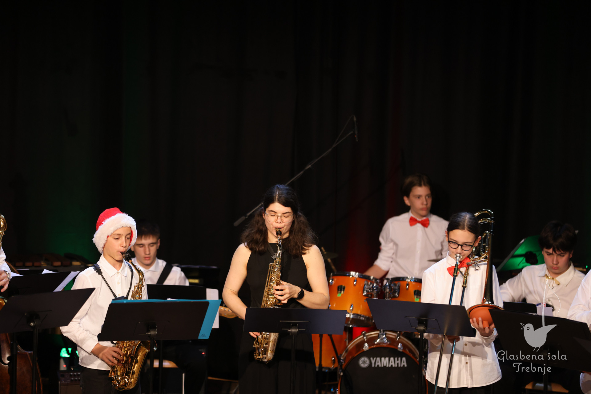 Koncert orkestrov in komornih skupin