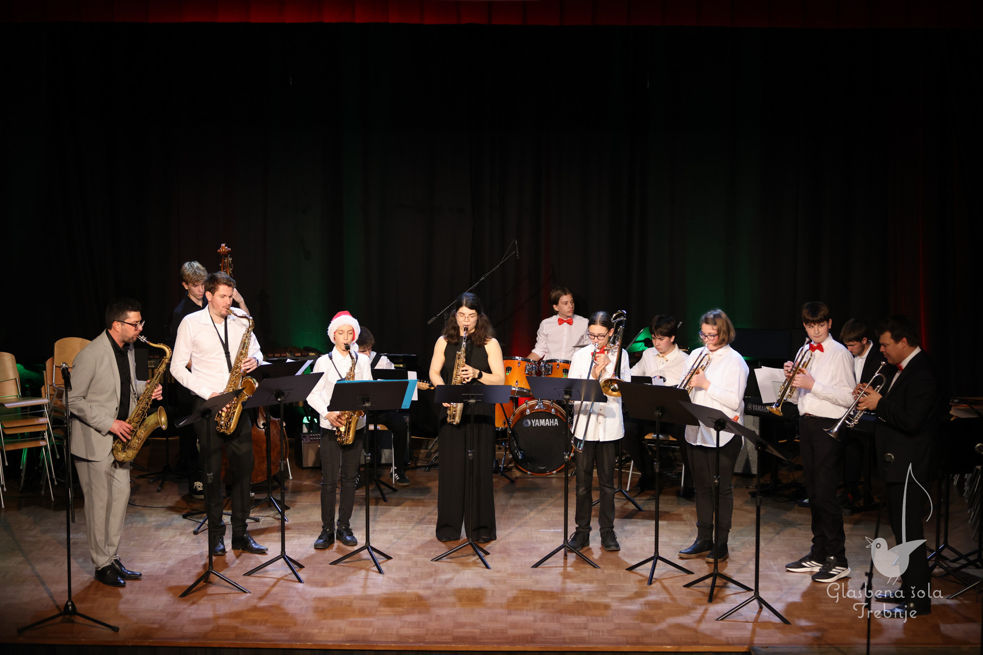 Koncert orkestrov in komornih skupin