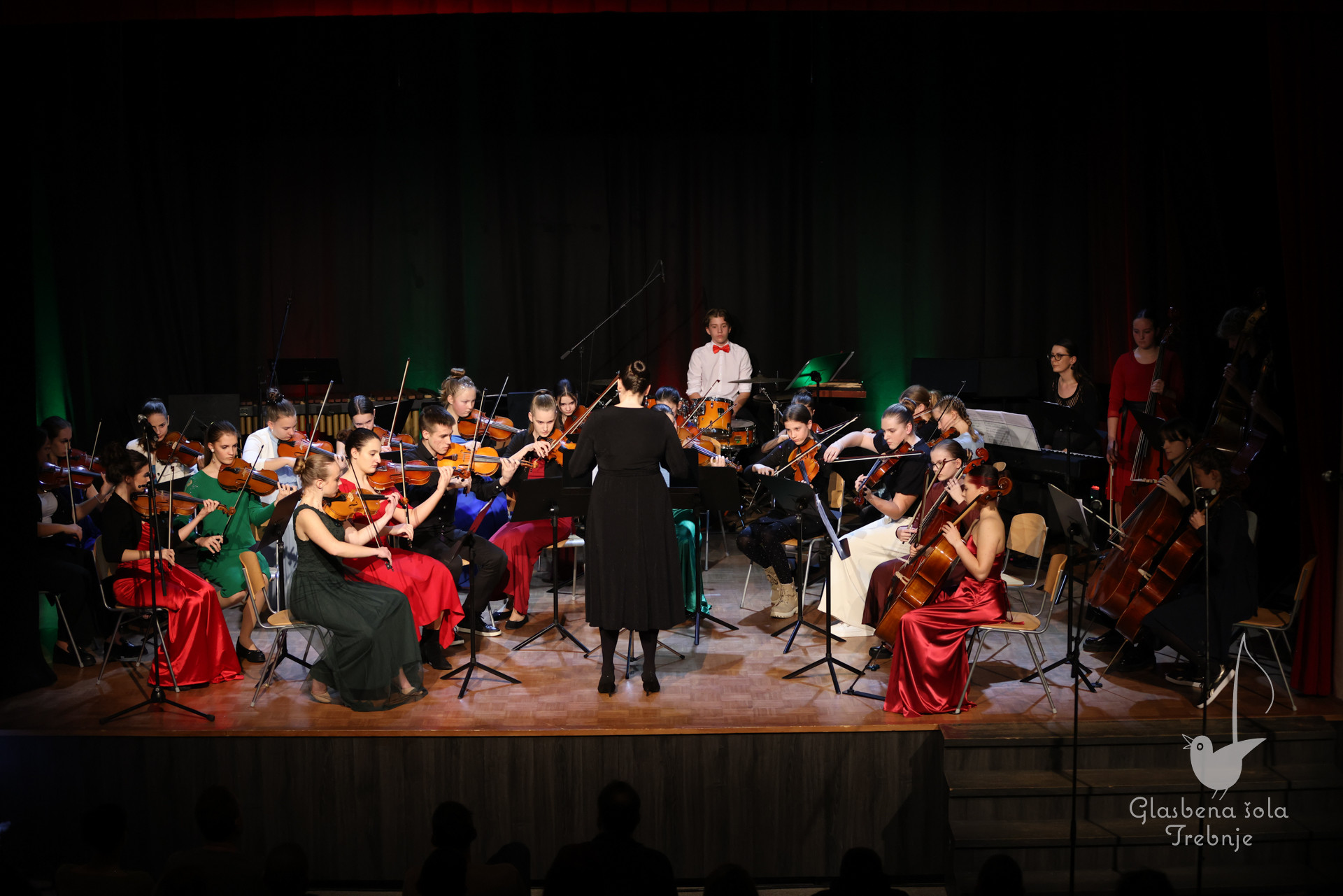 Koncert orkestrov in komornih skupin