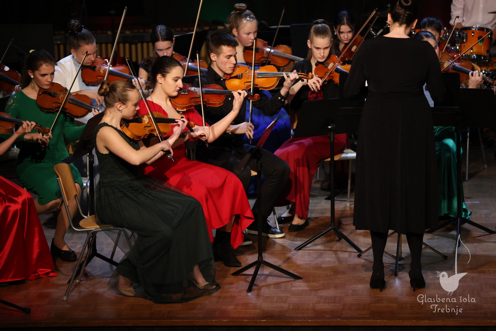 Koncert orkestrov in komornih skupin