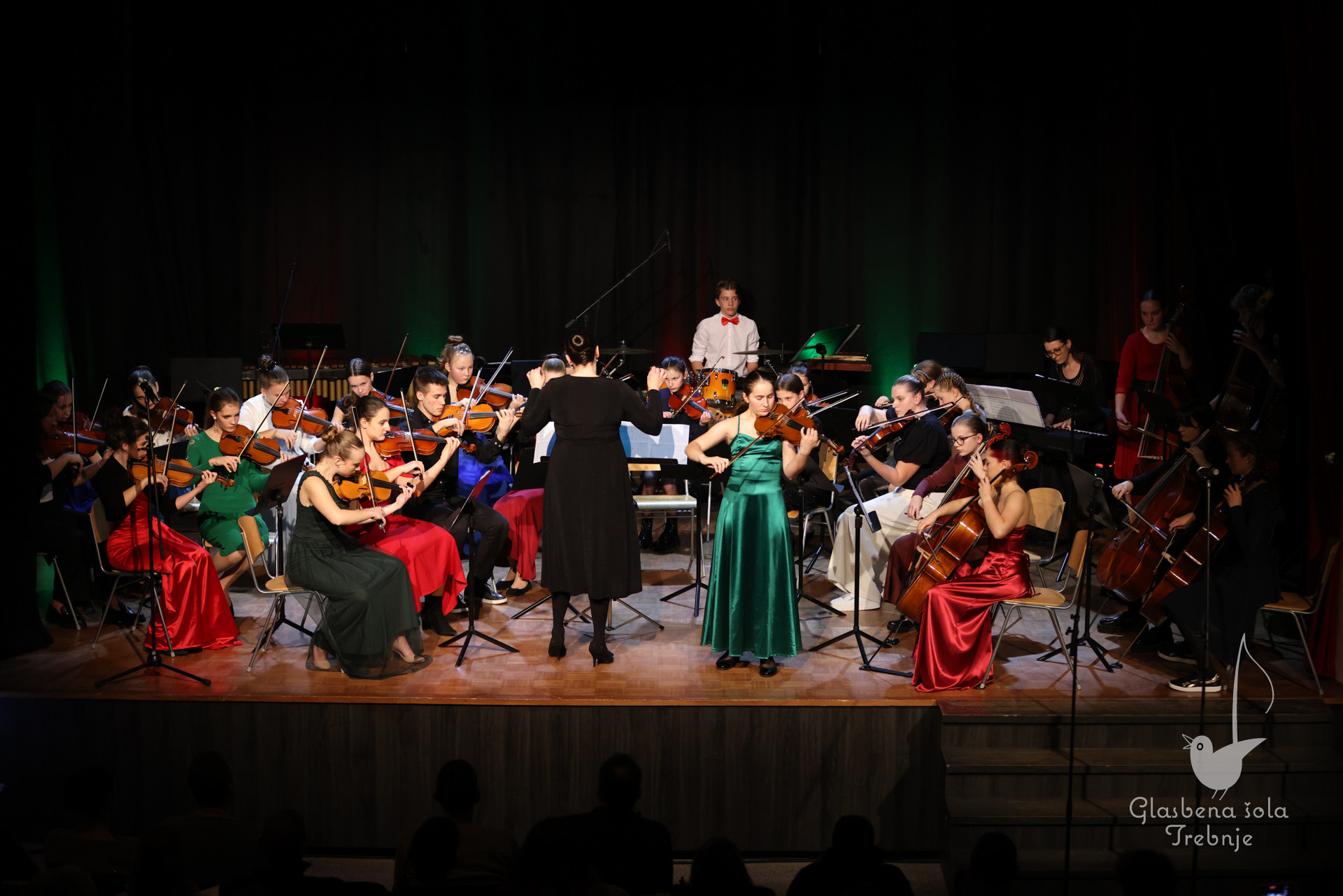 Koncert orkestrov in komornih skupin