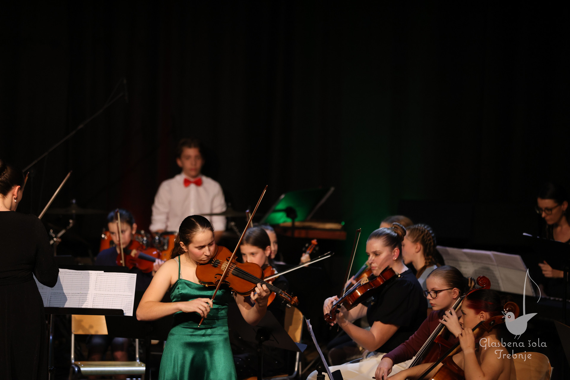 Koncert orkestrov in komornih skupin