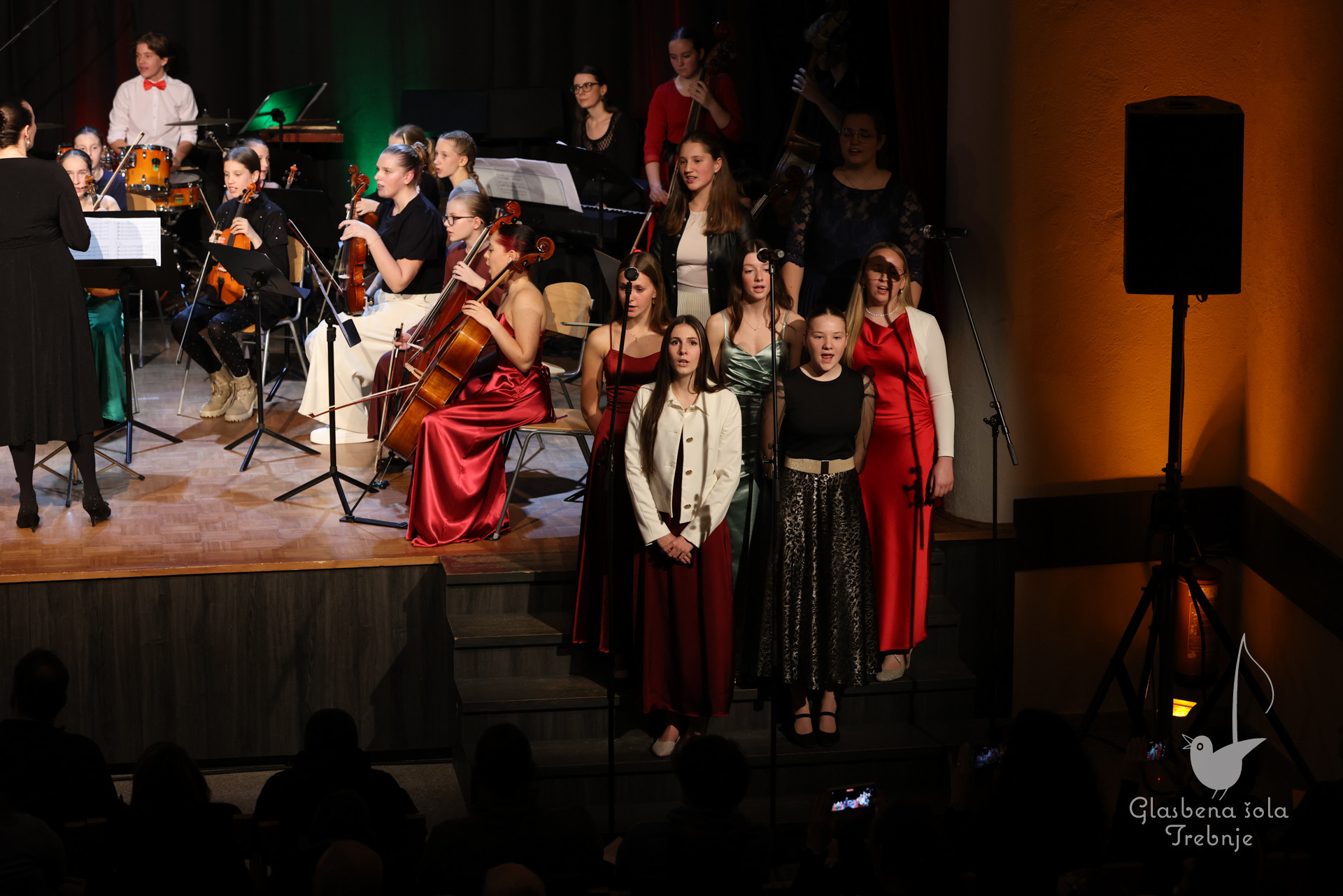 Koncert orkestrov in komornih skupin