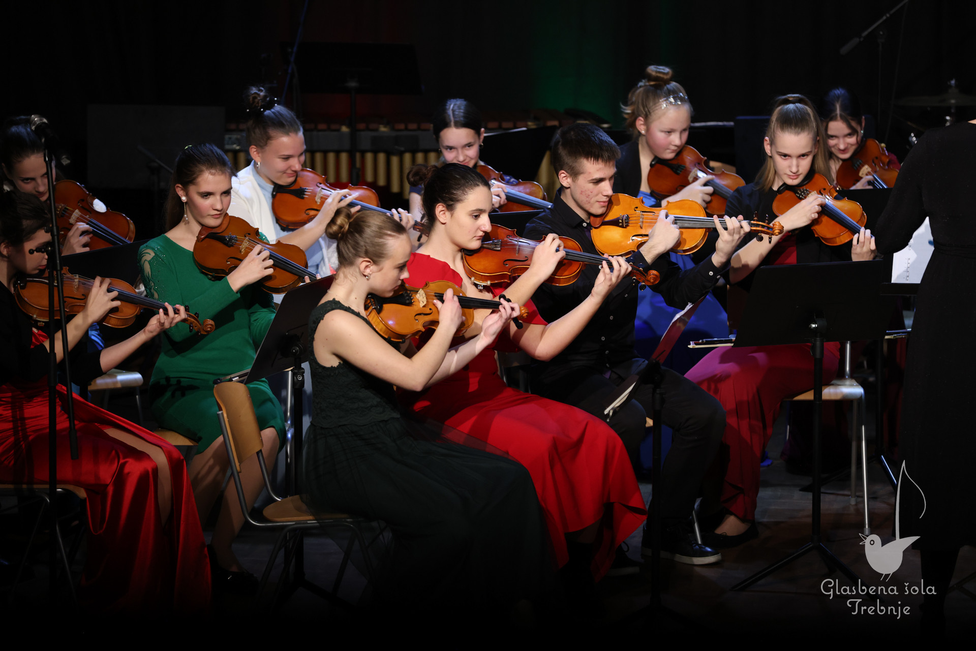 Koncert orkestrov in komornih skupin