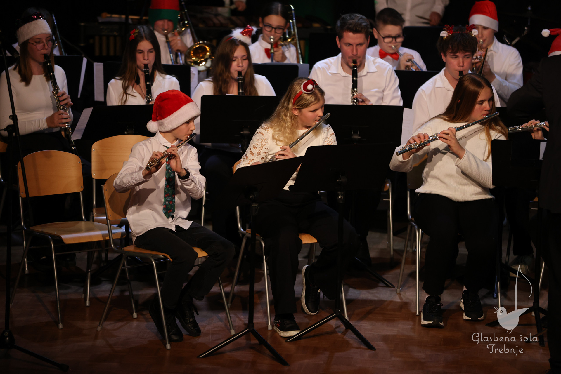 Koncert orkestrov in komornih skupin