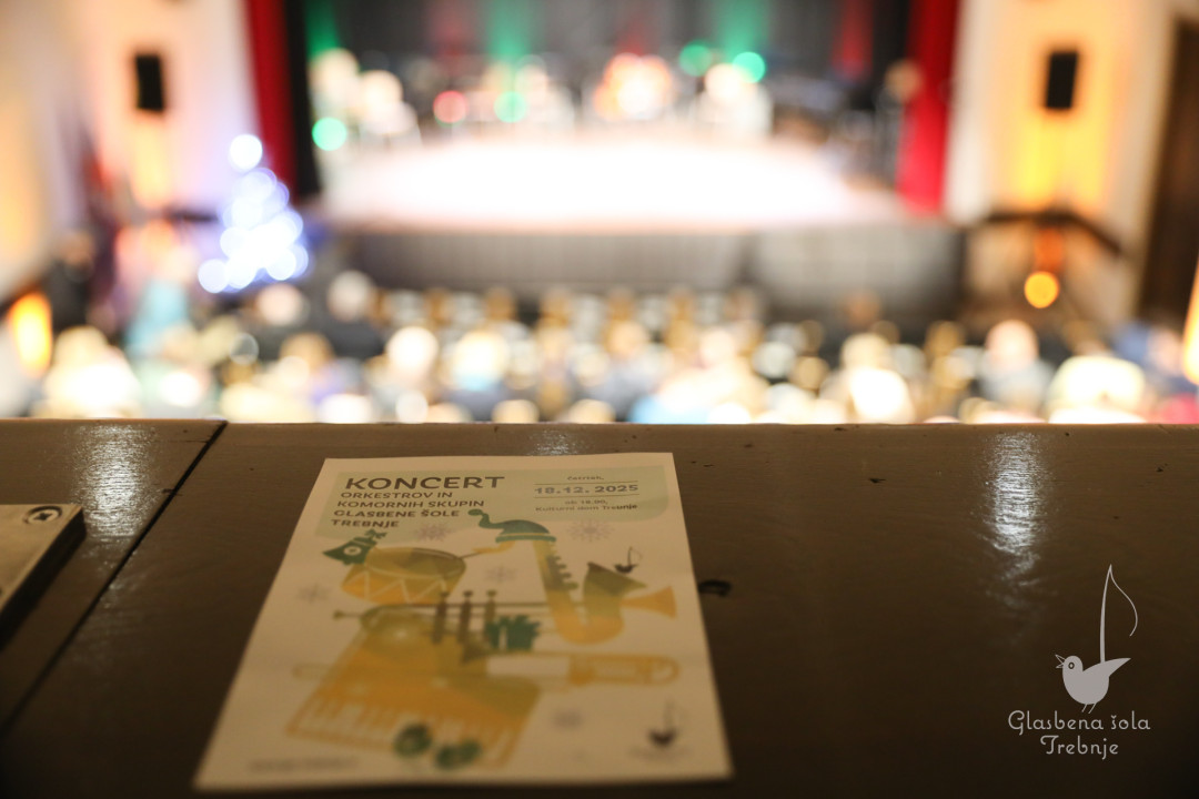 Koncert orkestrov in komornih skupin