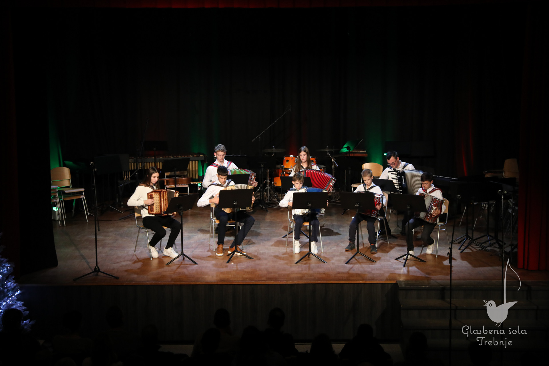 Koncert orkestrov in komornih skupin