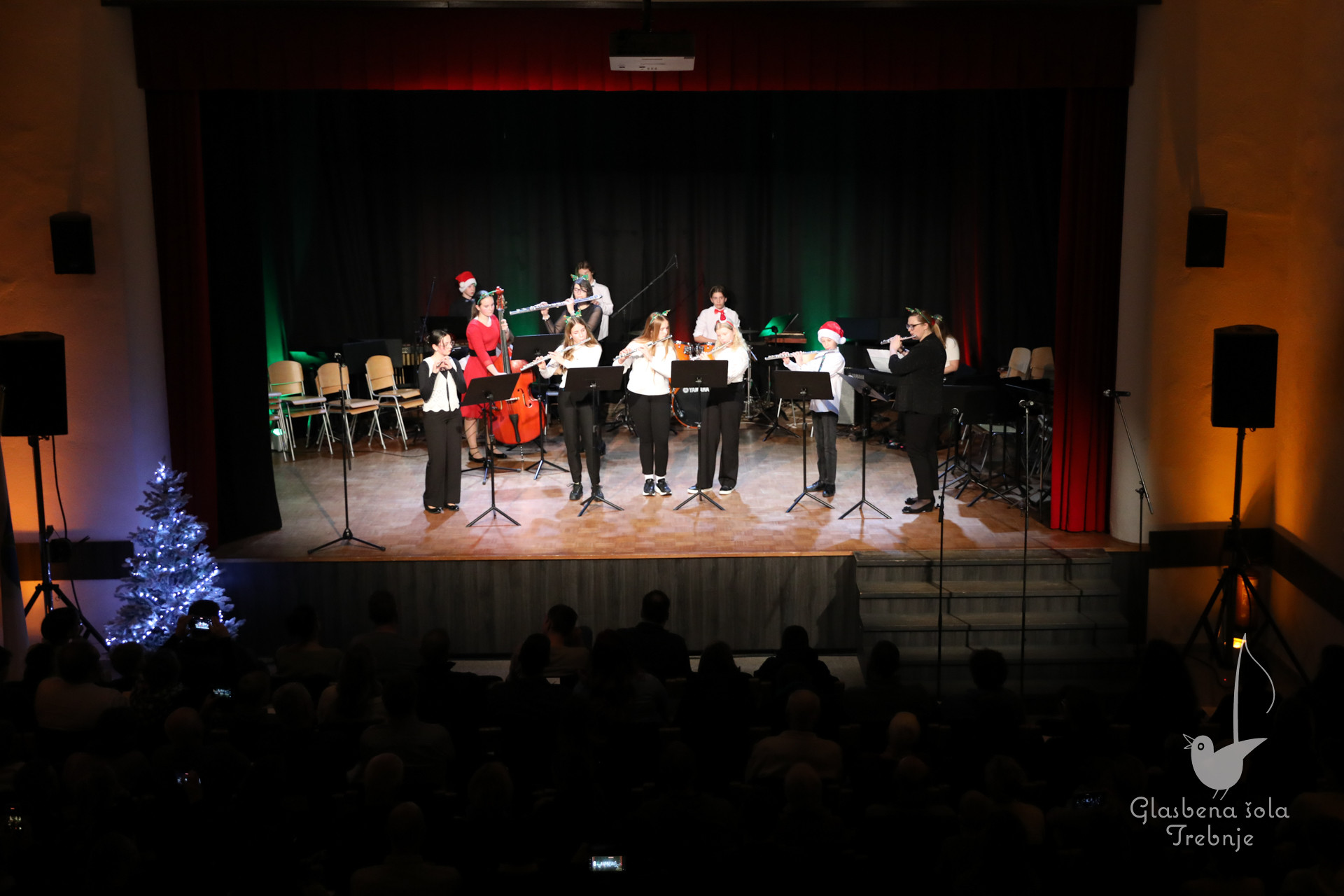 Koncert orkestrov in komornih skupin