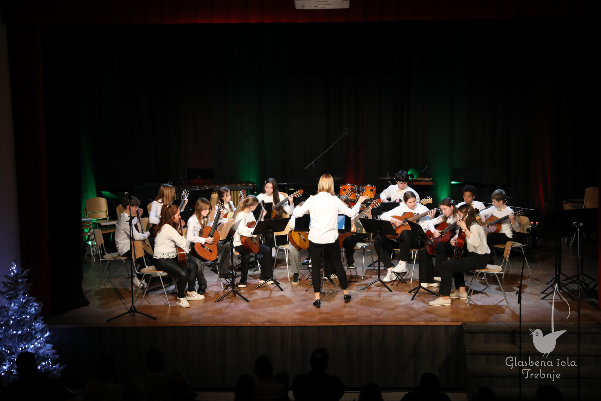 Koncert orkestrov in komornih skupin