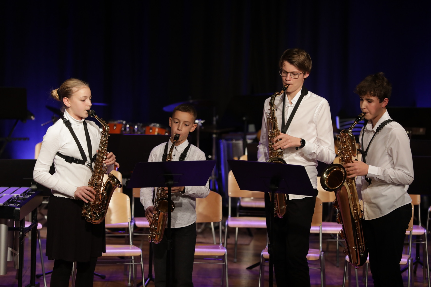 Koncert orkestrov in komornih skupin