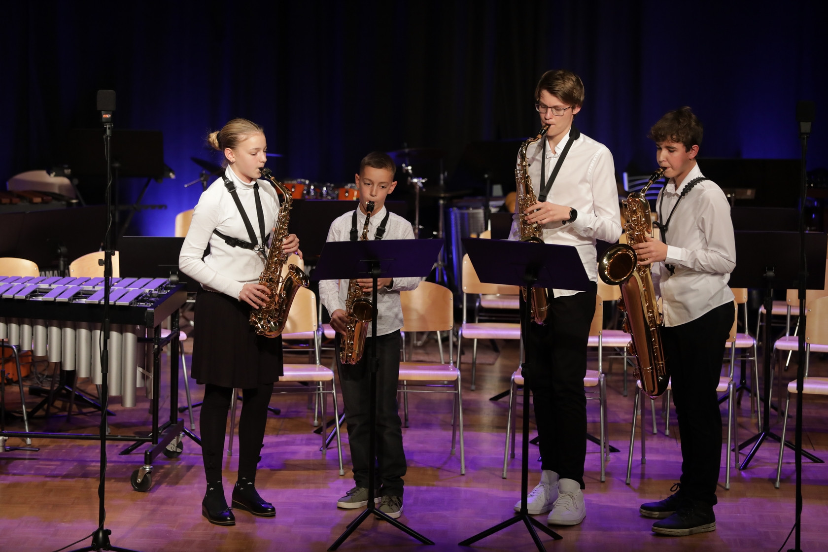 Koncert orkestrov in komornih skupin