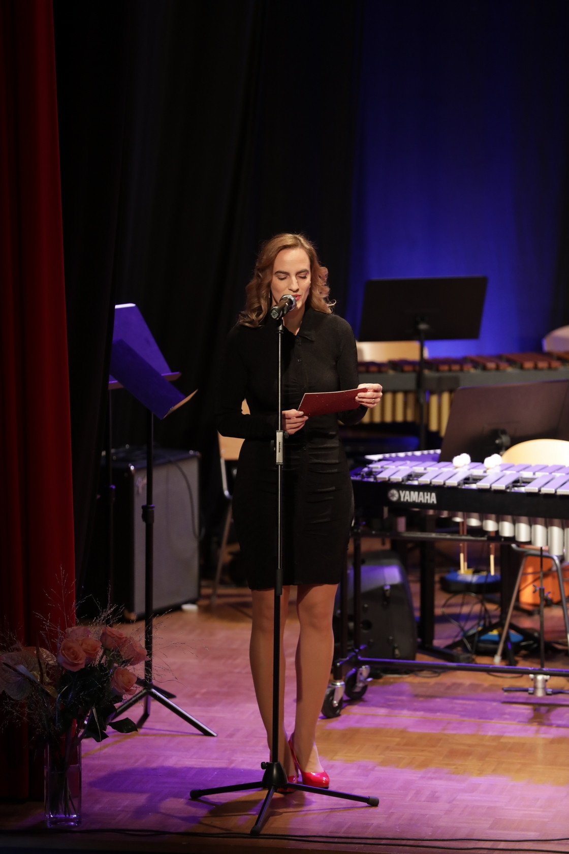 Koncert orkestrov in komornih skupin