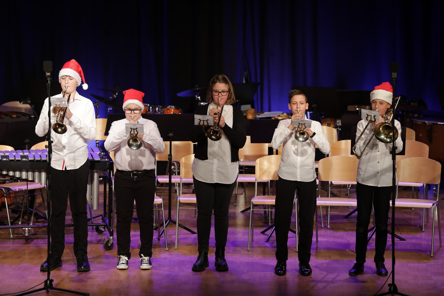 Koncert orkestrov in komornih skupin