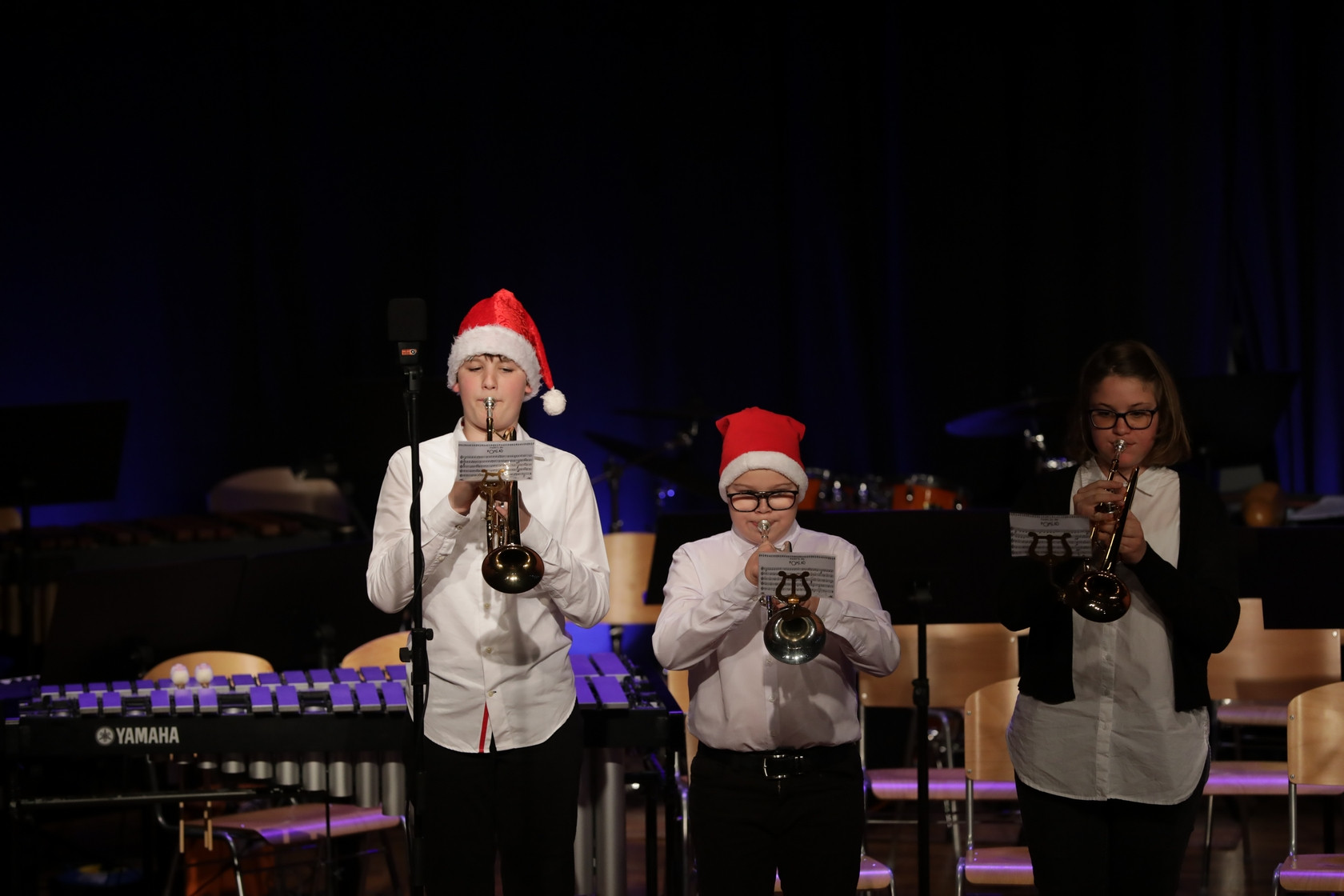 Koncert orkestrov in komornih skupin