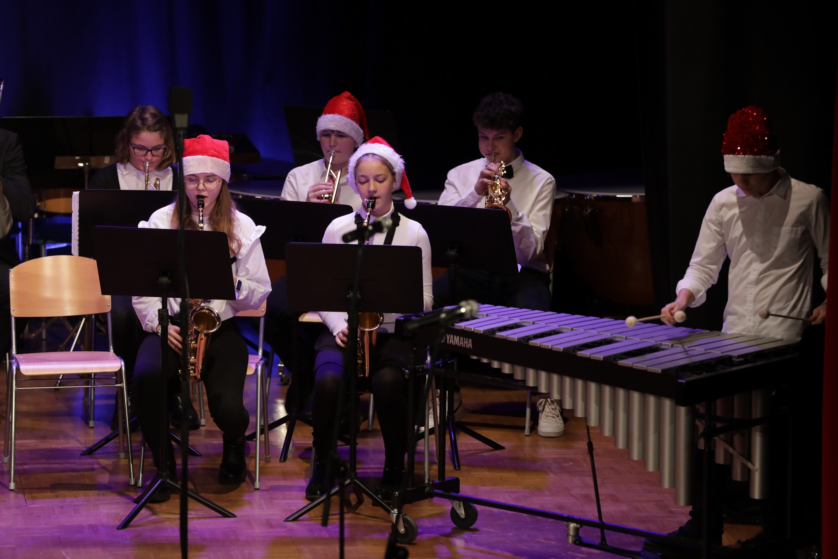 Koncert orkestrov in komornih skupin