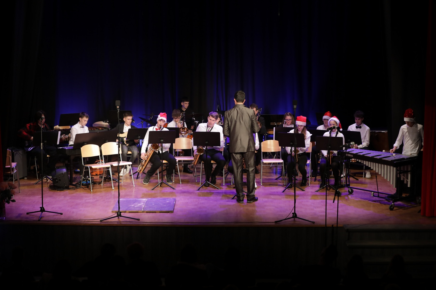 Koncert orkestrov in komornih skupin