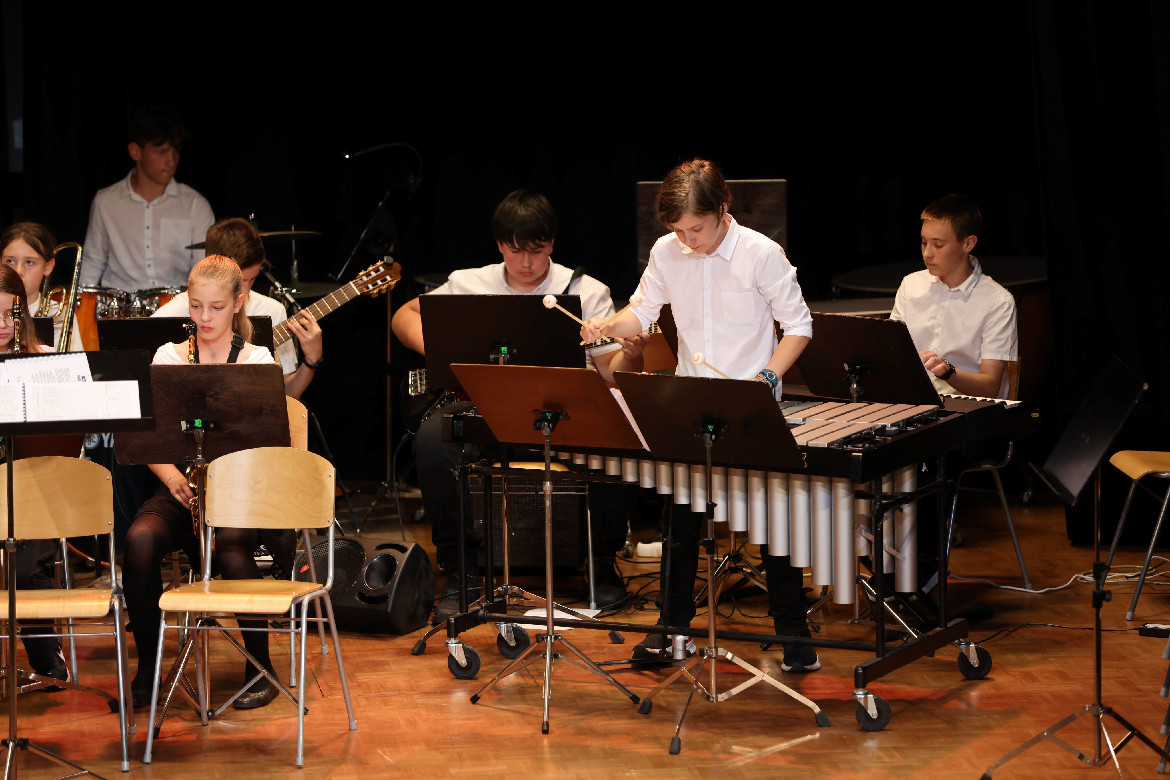 Koncert pihalnega orkestra, big banda in komornih skupin