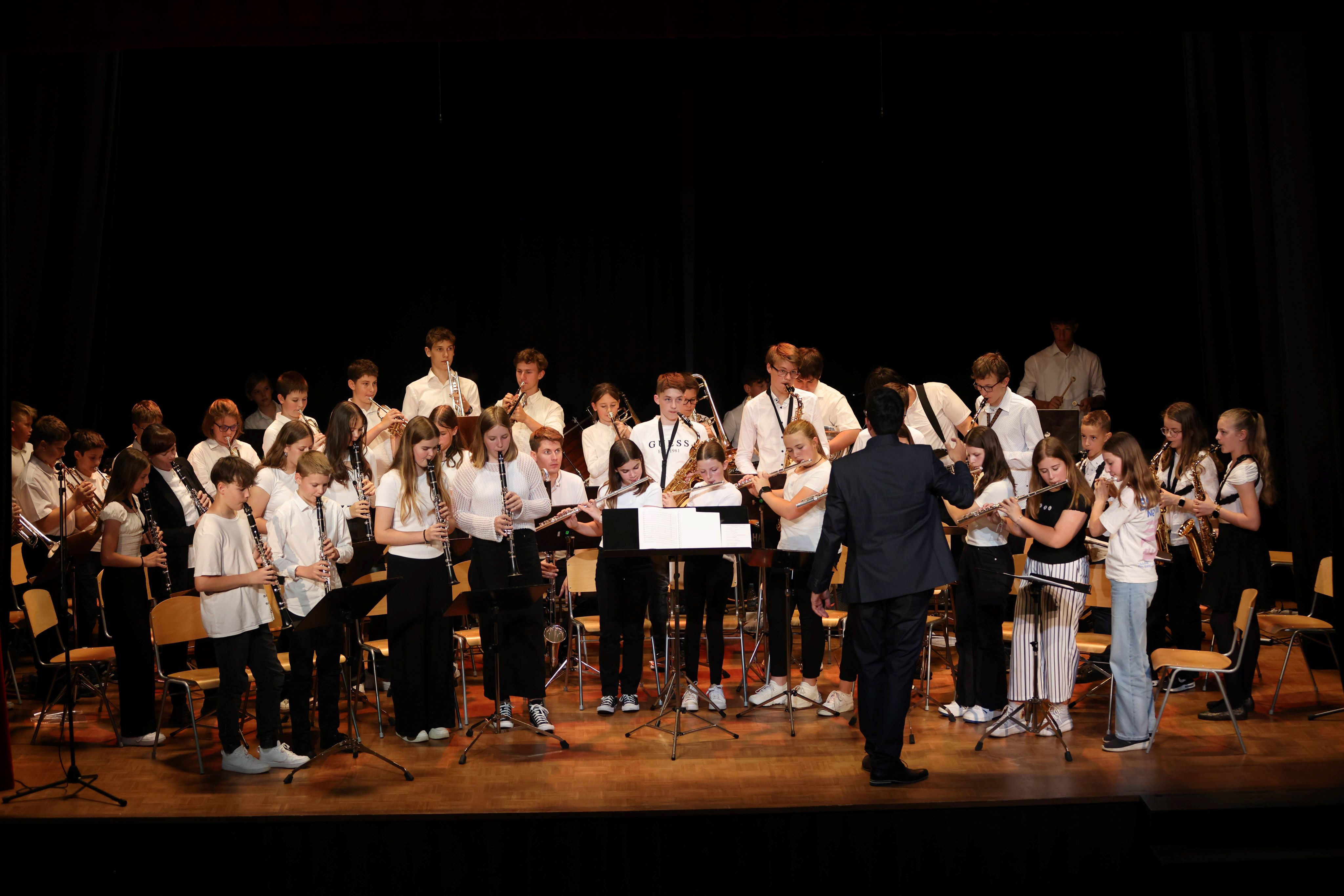 Koncert pihalnega orkestra, big banda in komornih skupin