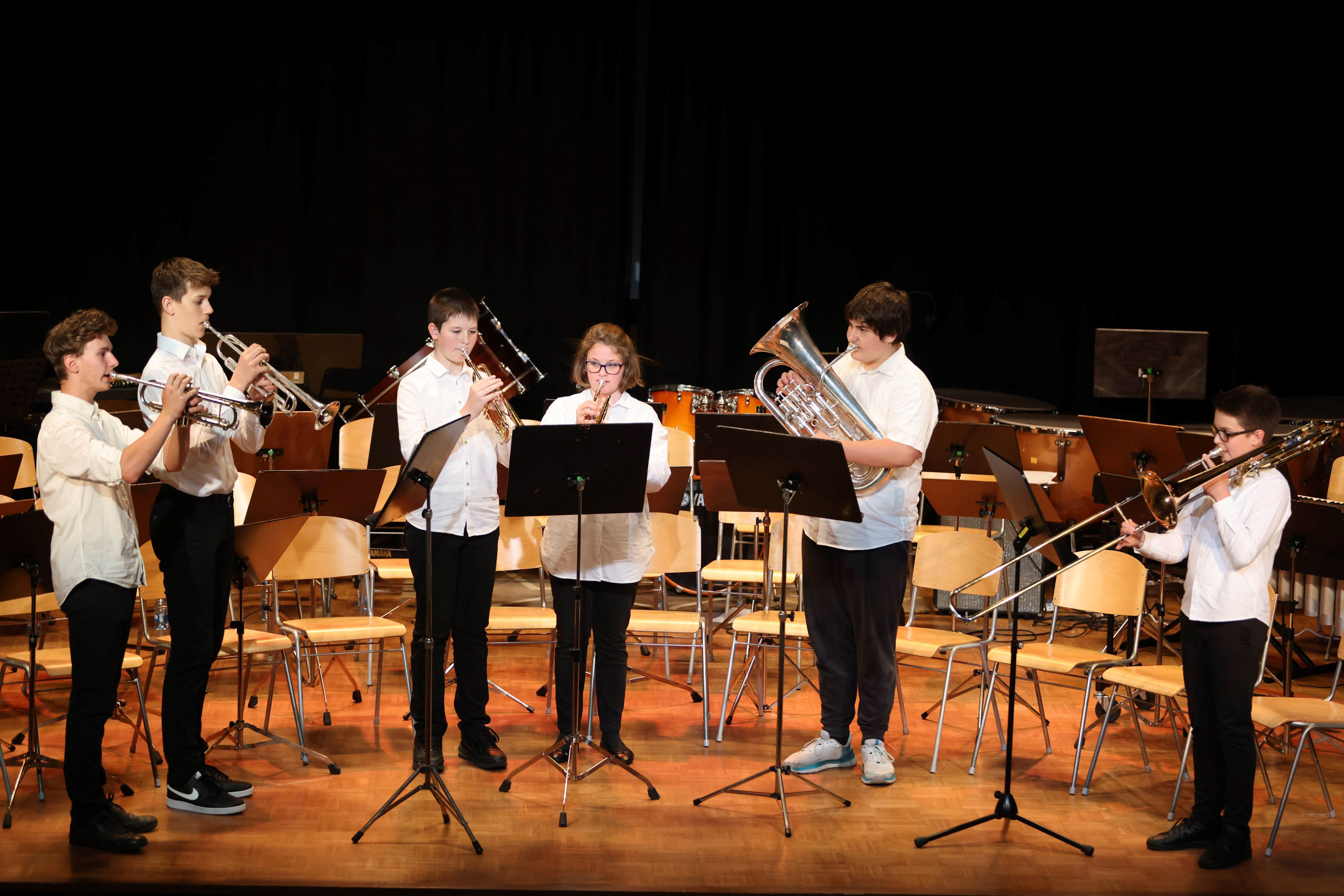 Koncert pihalnega orkestra, big banda in komornih skupin