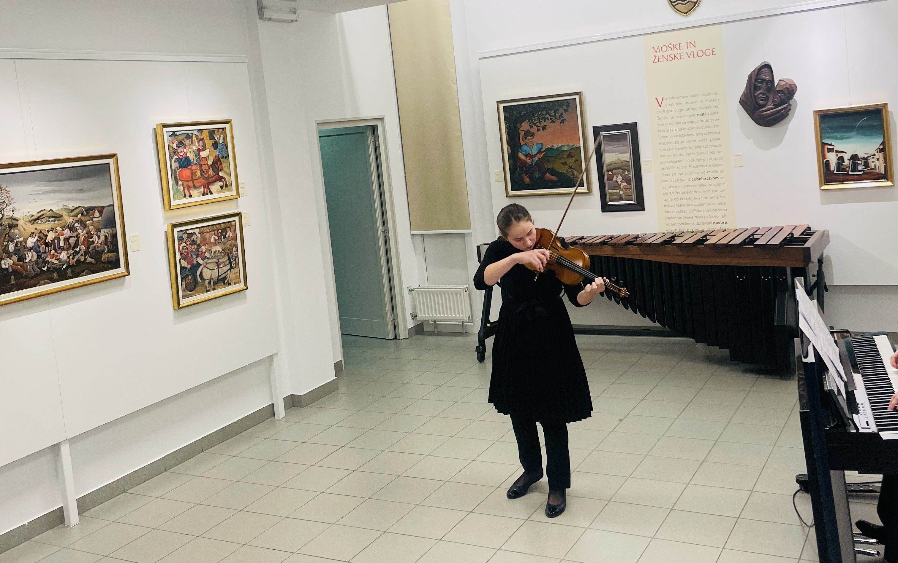 Koncert solistov glasbene šole Trebnje