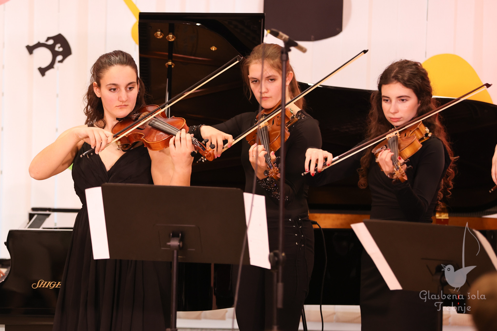 Nastop godalnega oddelka ob 50-letnici šole