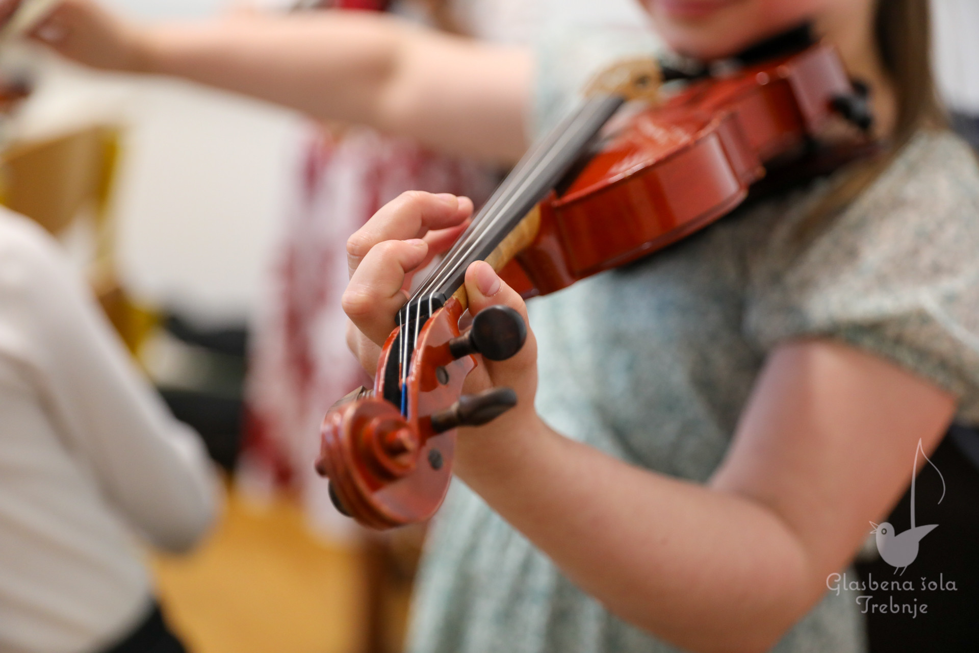 Nastop godalnega oddelka ob 50-letnici šole