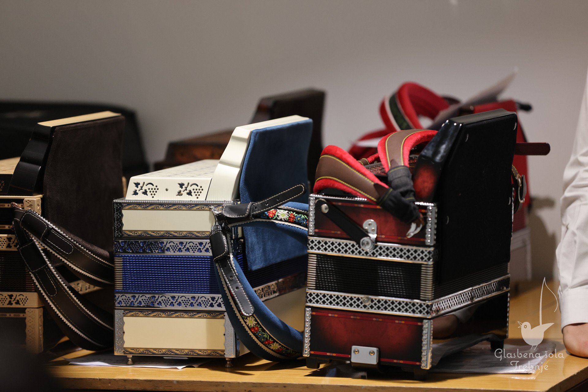 Nastop kitarskega in harmonikarskega oddelka ob 50-letnici šole