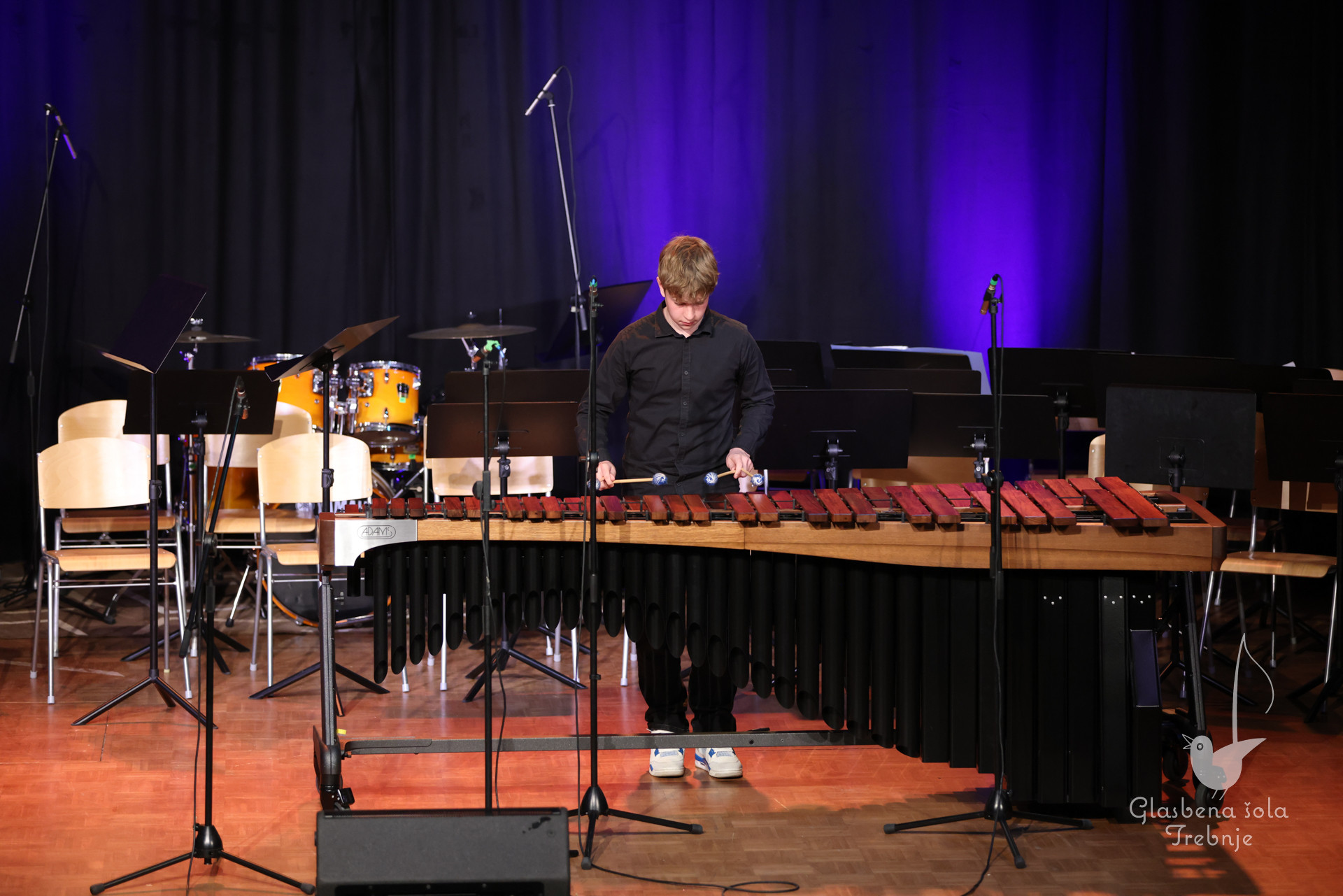 Nastop oddelka za pihala in oddelka za trobila in tolkala ob 50-letnici šole