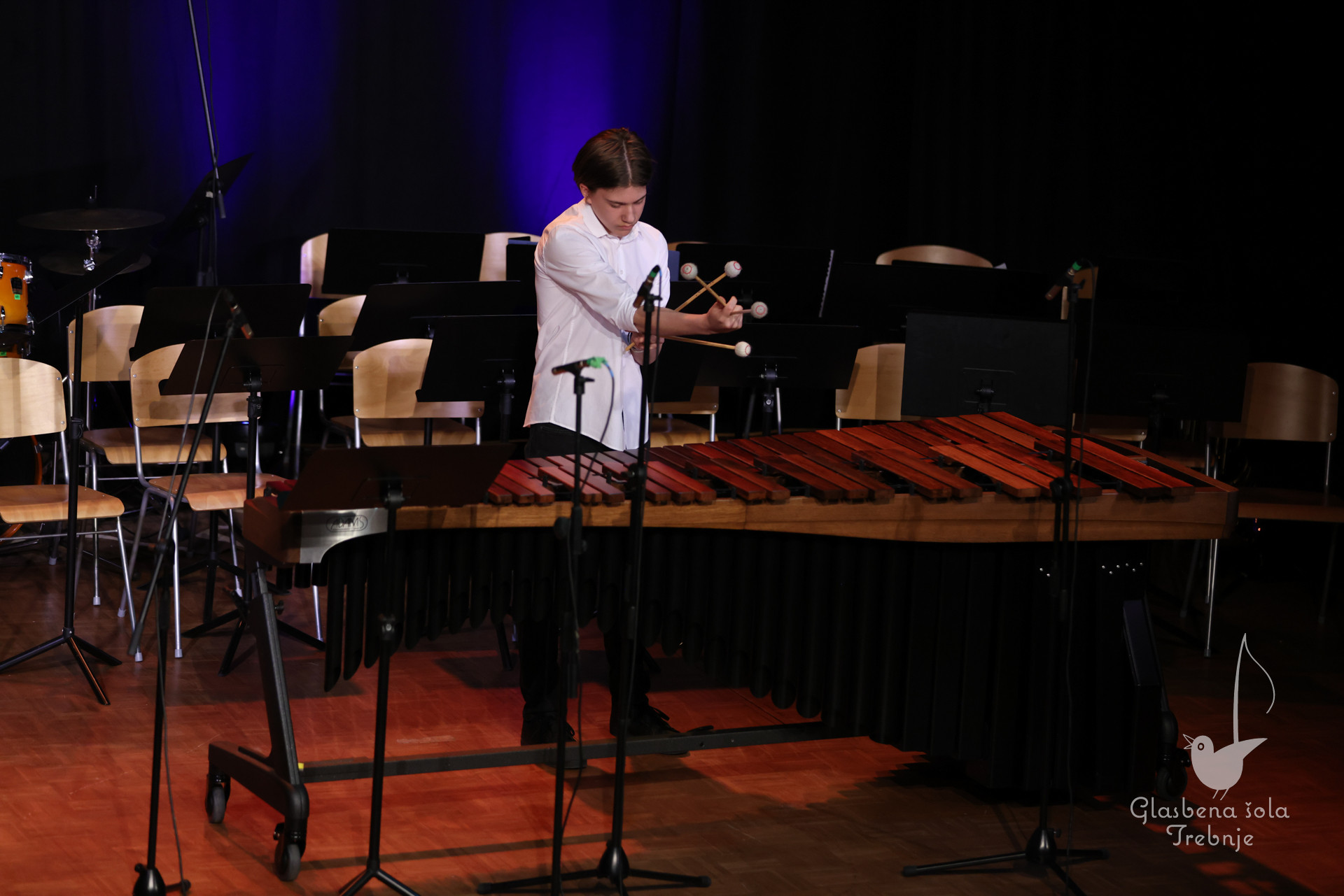 Nastop oddelka za pihala in oddelka za trobila in tolkala ob 50-letnici šole