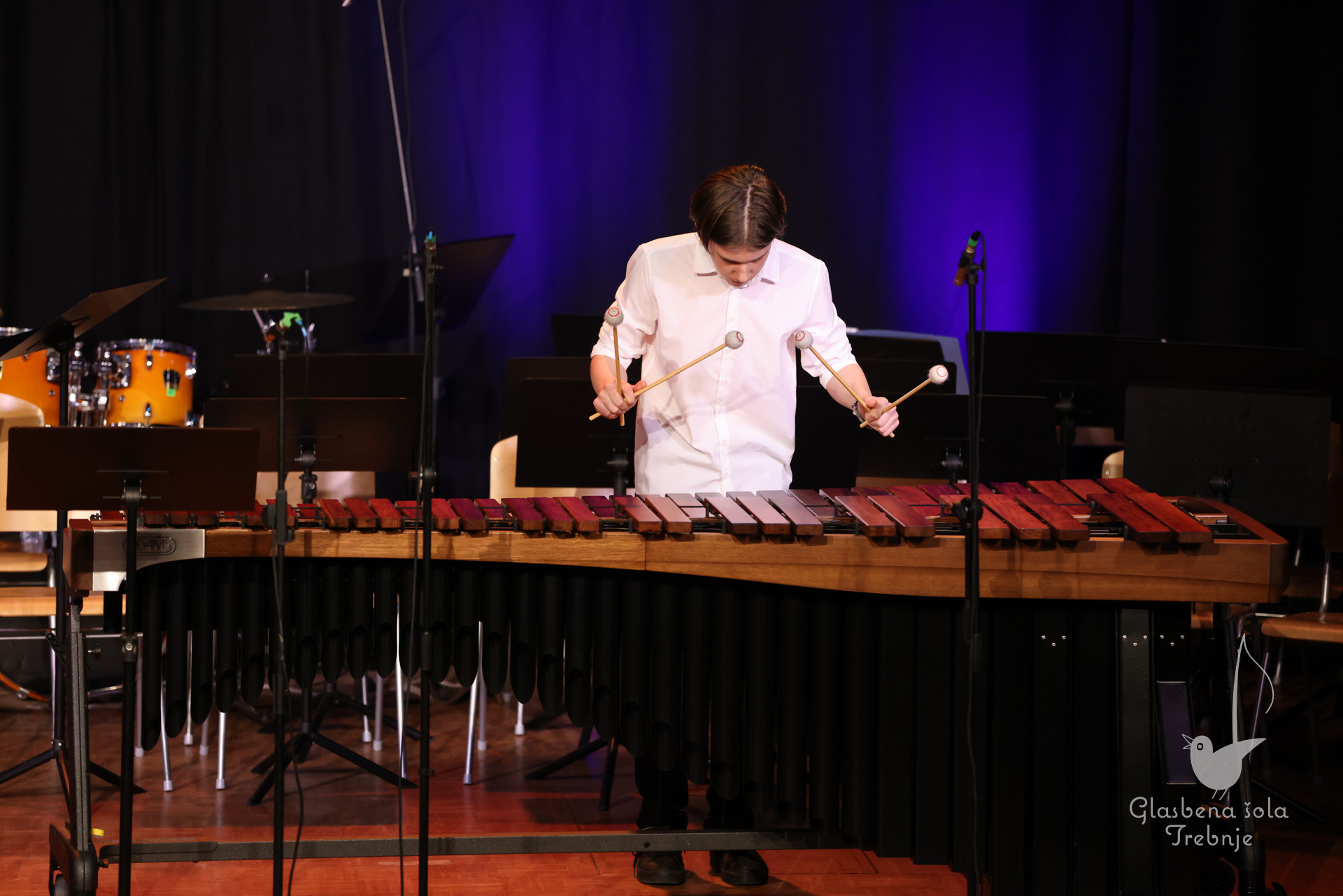 Nastop oddelka za pihala in oddelka za trobila in tolkala ob 50-letnici šole