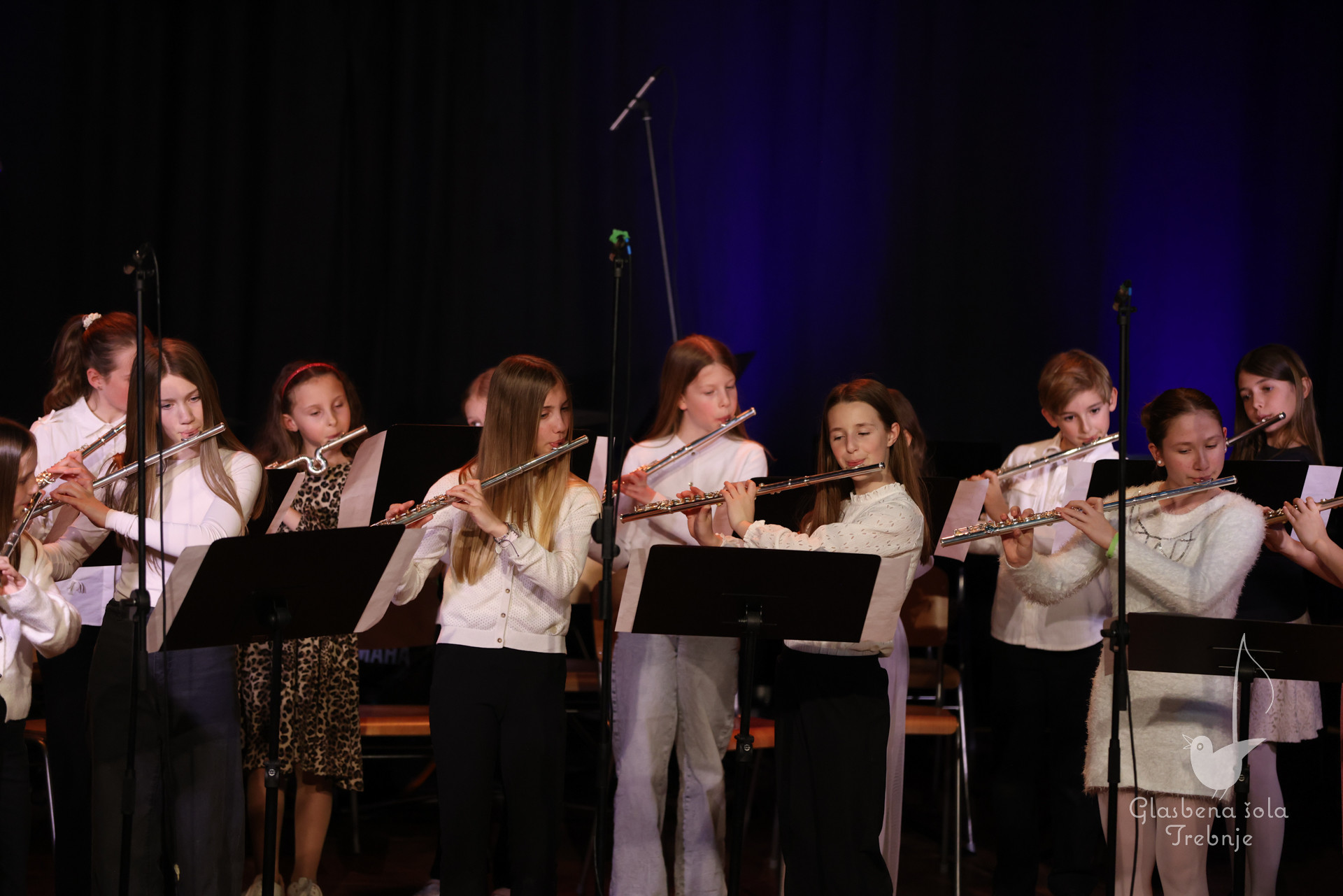 Nastop oddelka za pihala in oddelka za trobila in tolkala ob 50-letnici šole