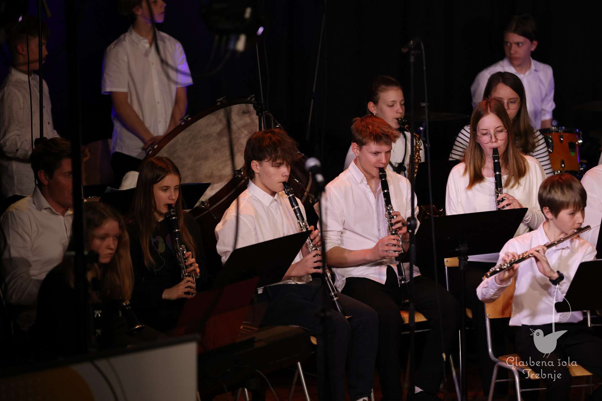 Nastop oddelka za pihala in oddelka za trobila in tolkala ob 50-letnici šole