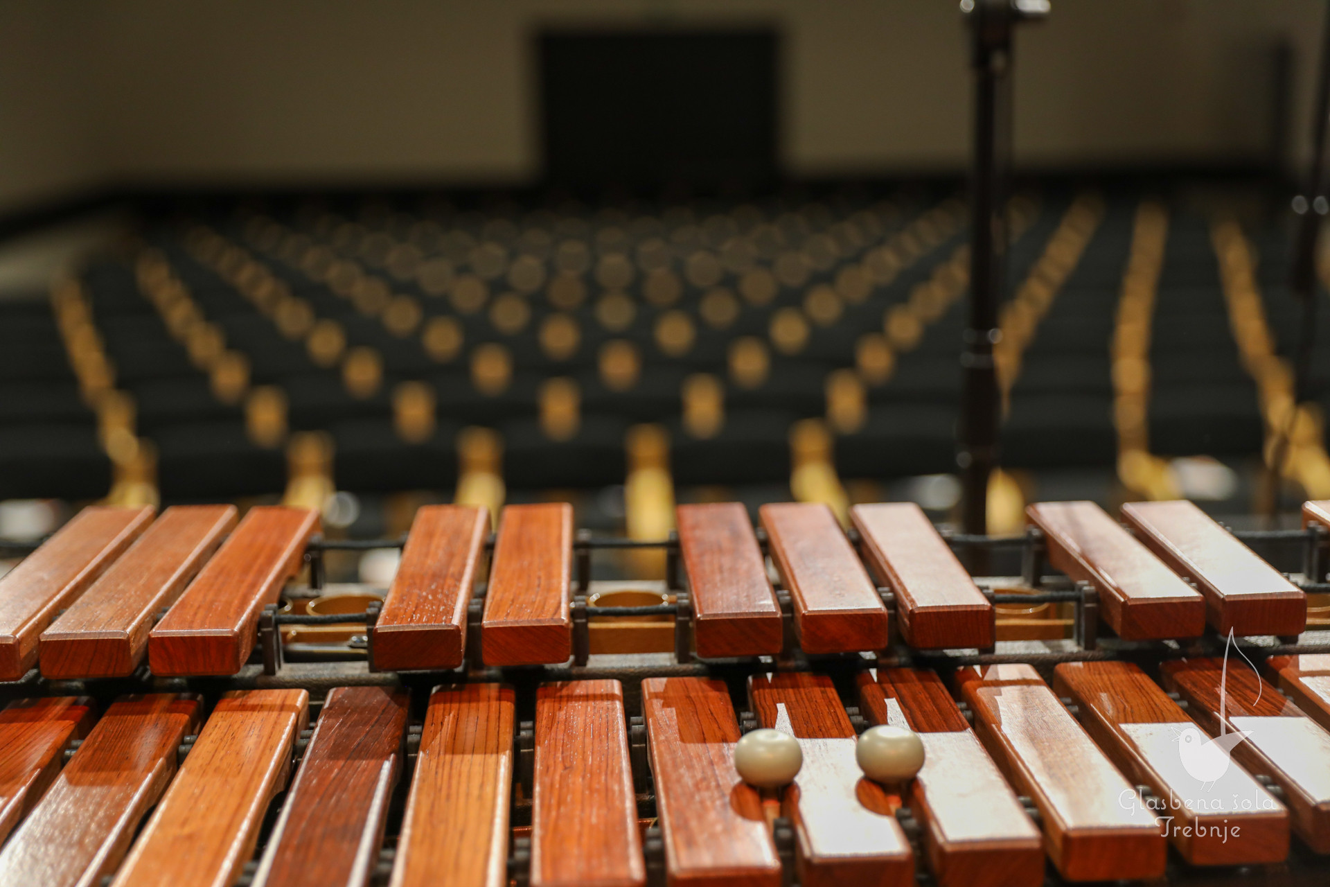 Nastop oddelka za pihala in oddelka za trobila in tolkala ob 50-letnici šole