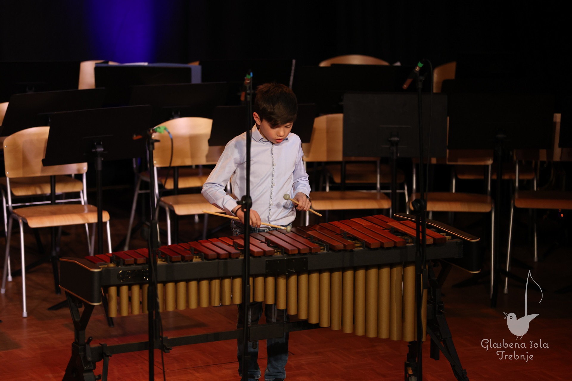 Nastop oddelka za pihala in oddelka za trobila in tolkala ob 50-letnici šole