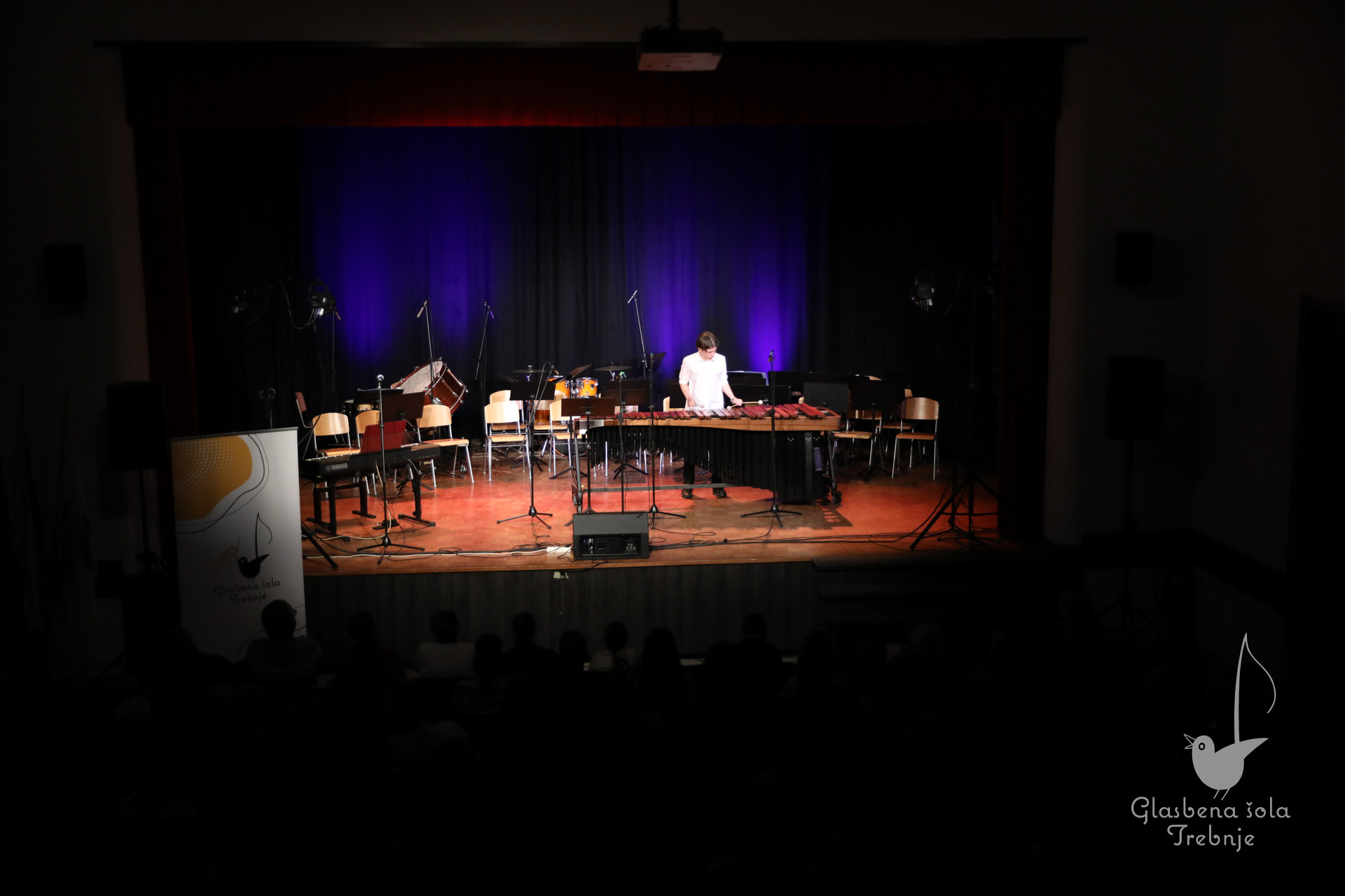 Nastop oddelka za pihala in oddelka za trobila in tolkala ob 50-letnici šole