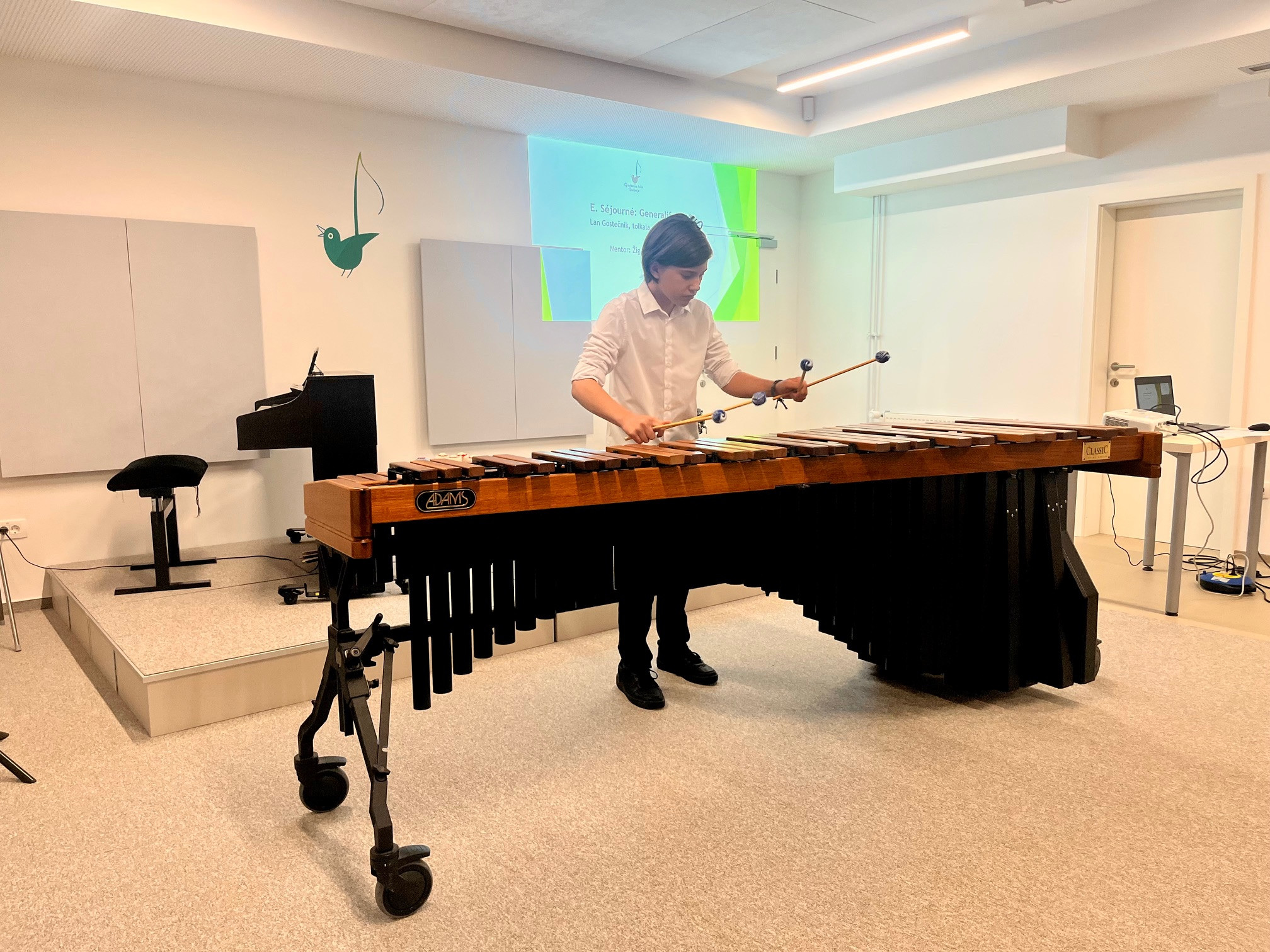 Nastop oddelka za pihala, trobila in tolkala