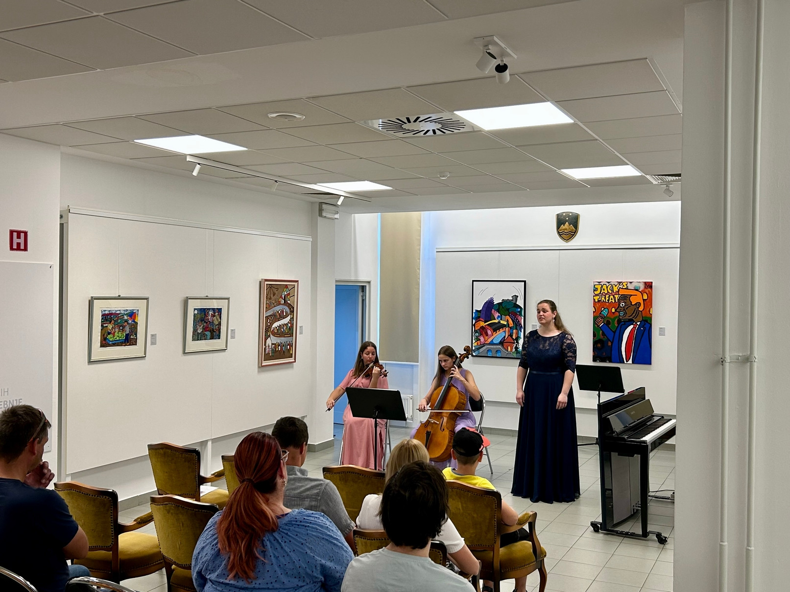 Poletna muzejska noč