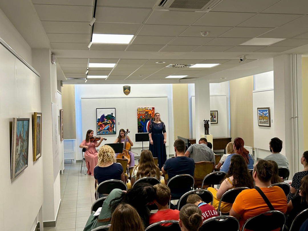 Poletna muzejska noč