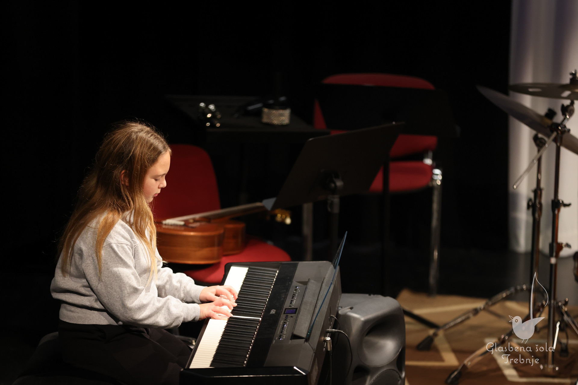 Prednovoletni koncert na Mirni