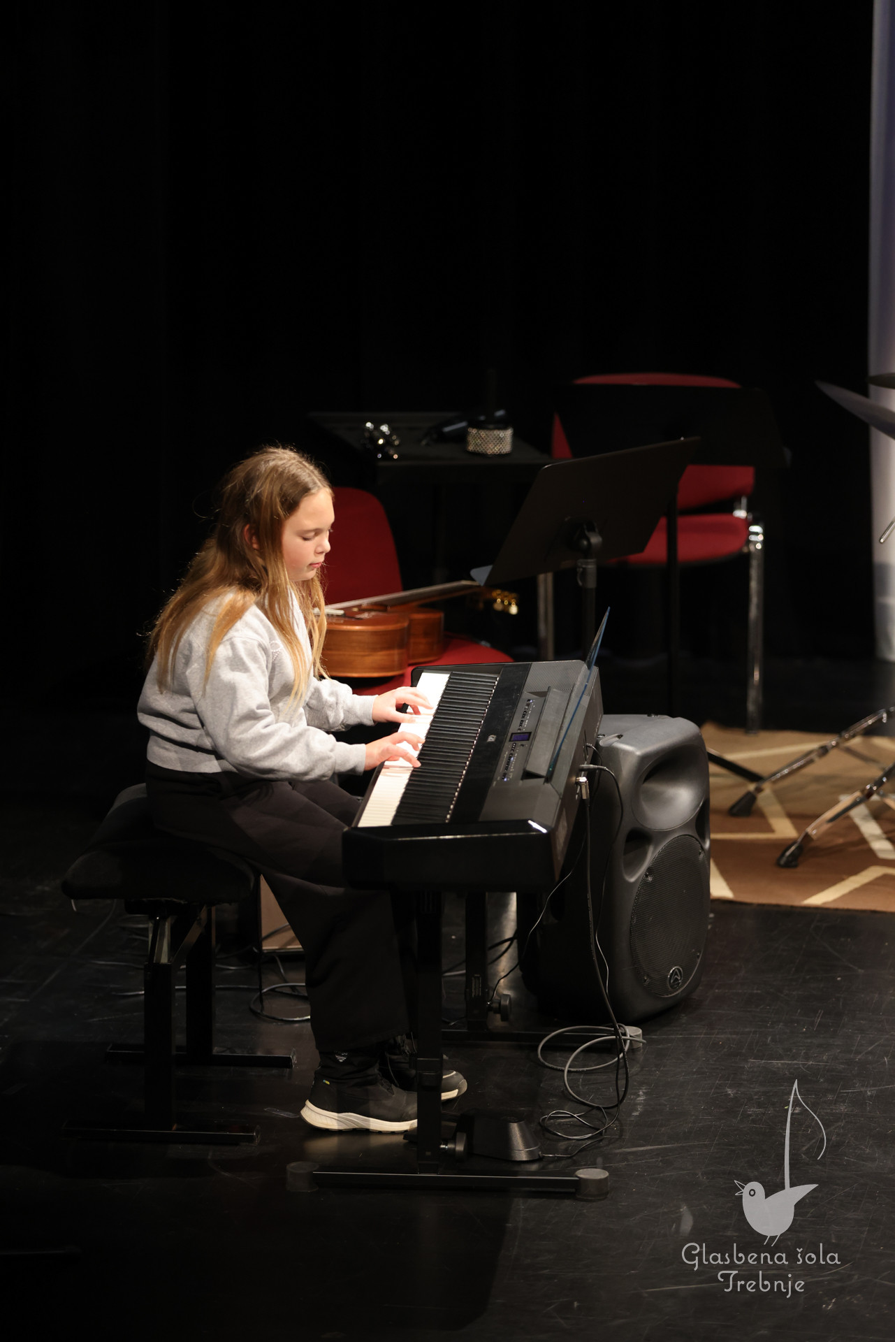 Prednovoletni koncert na Mirni