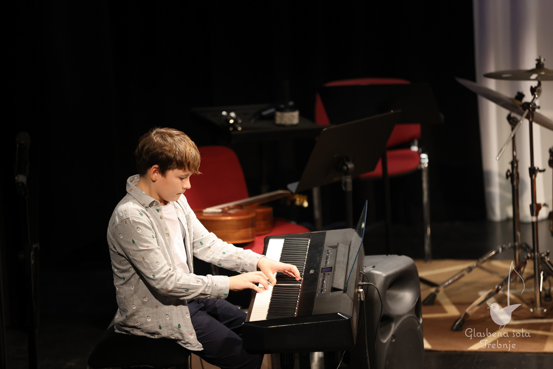 Prednovoletni koncert na Mirni